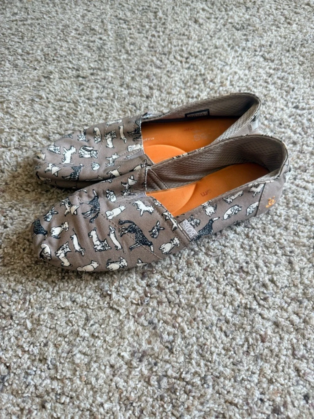 Sketchers Bobs for Dogs Dog Print Shoes - Picture 5 of 5
